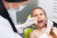 The Gentle Dentist image 2